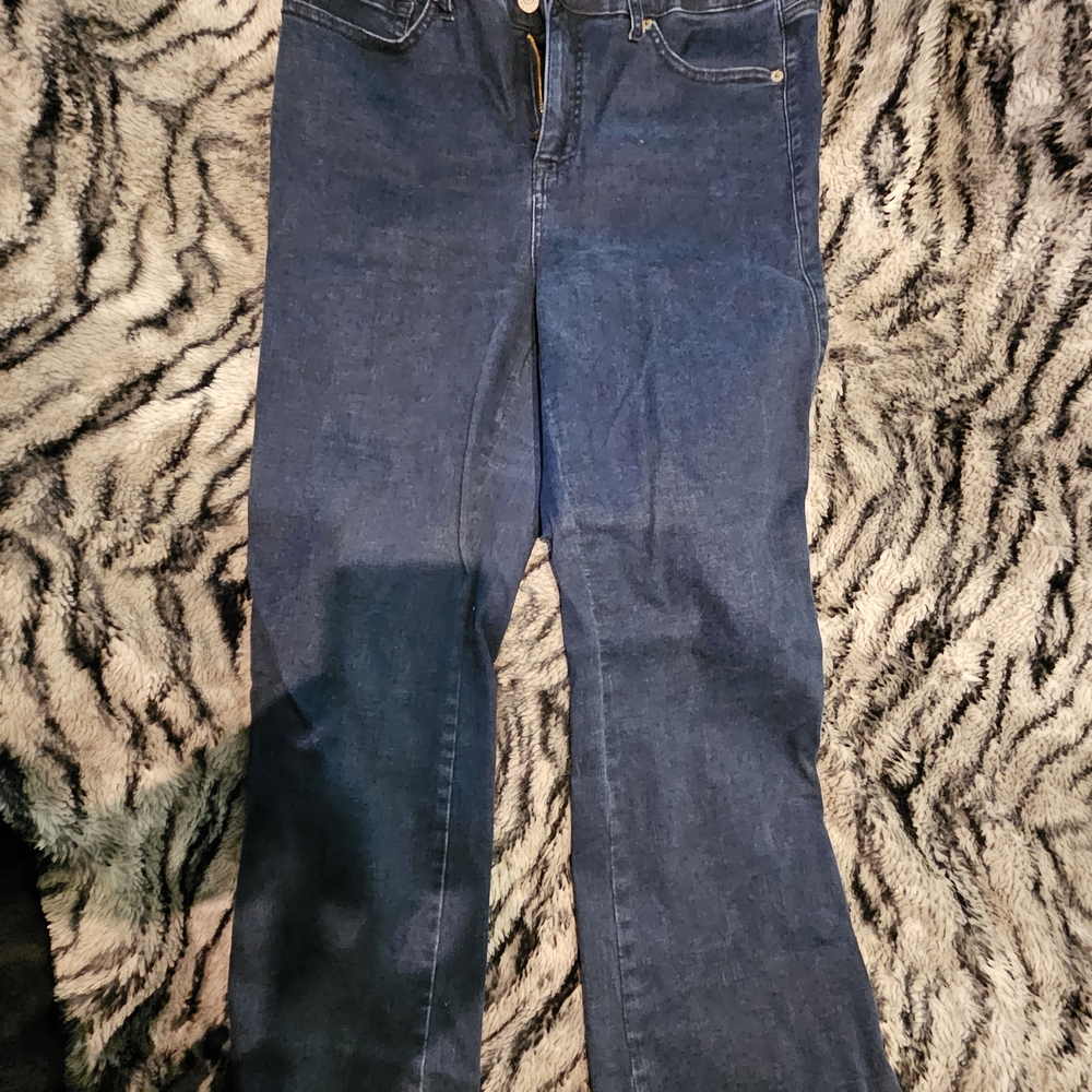 Torrid Classic Blue Women's Jeans